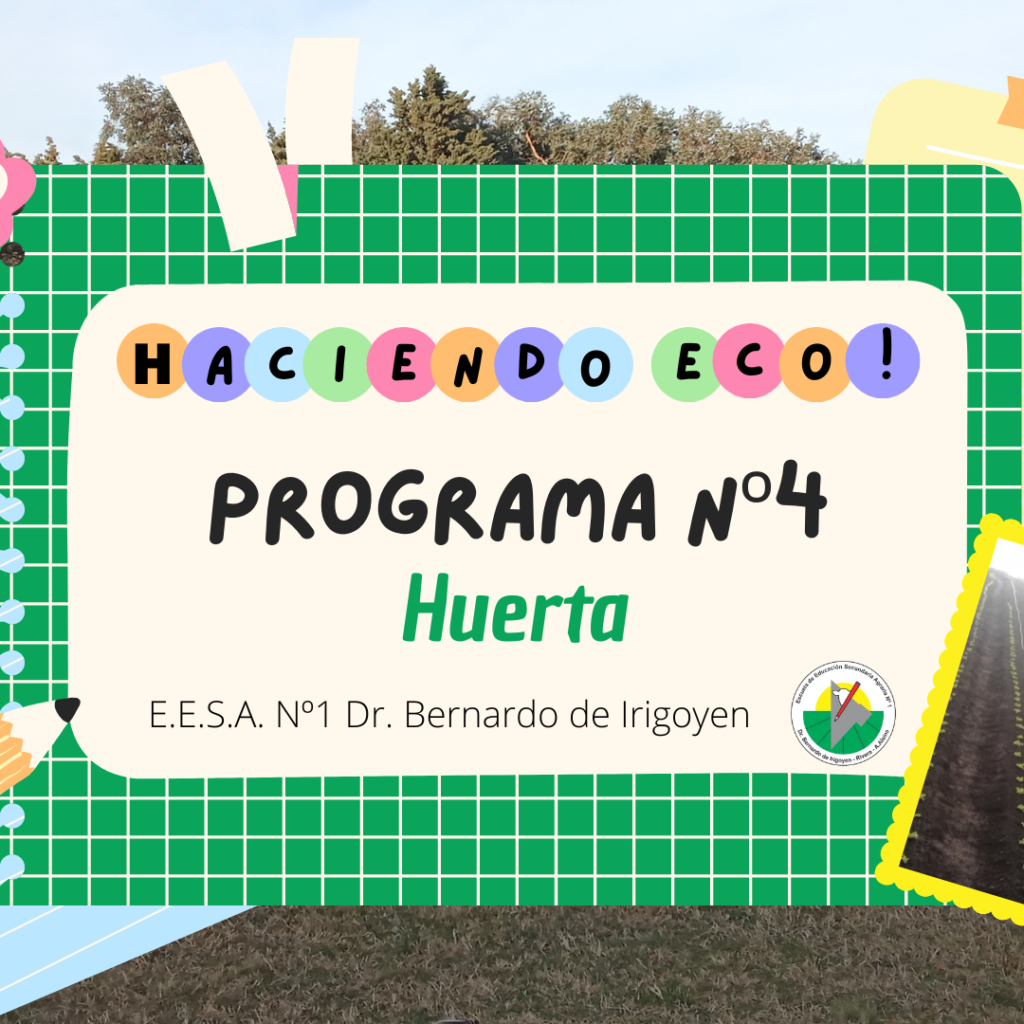 Entorno Formativo Huerta